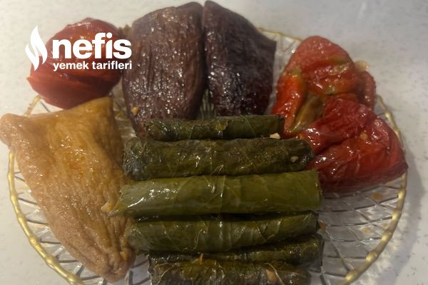 Dolma